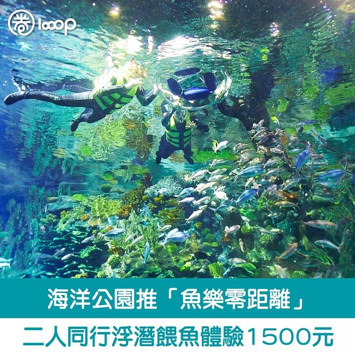 海洋公園推 魚樂零距離 二人同行浮潛餵魚體驗1500元 圈生活 Looop