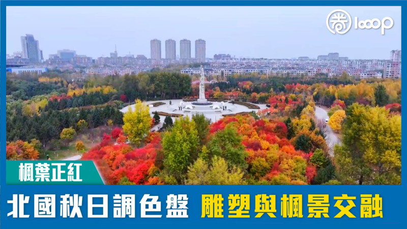 【楓葉正紅】北國秋日調色盤 雕塑與楓景交融