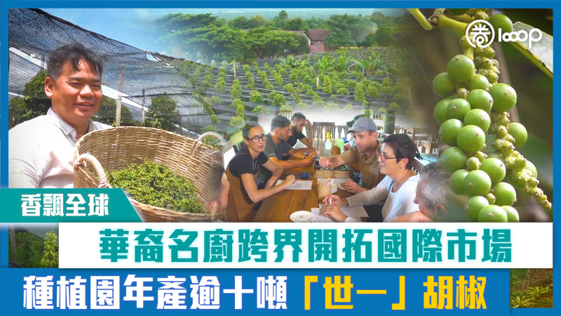 【短片】【香飄全球】華裔名廚跨界開拓國際市場 種植園年產逾十噸「世一」胡椒