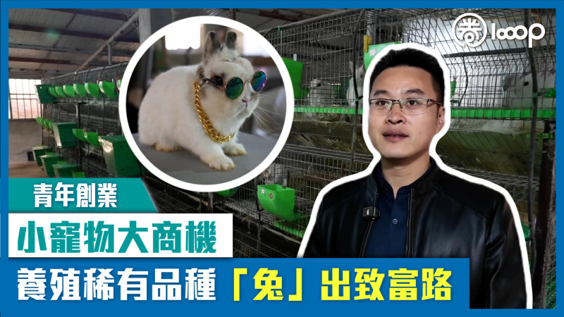 【短片】【青年創業】小寵物大商機 養殖稀有品種「兔」出致富路