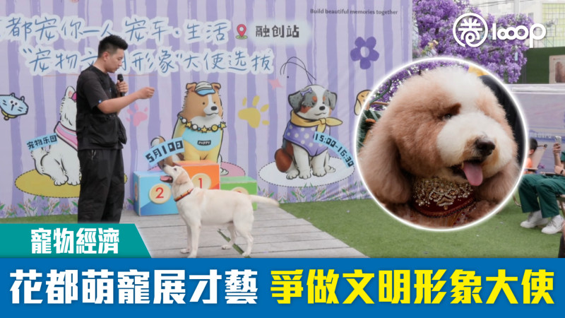 【短片】【寵物經濟】花都萌寵展才藝 爭做文明形象大使