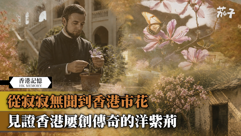【短片】【香港記憶】從寂寂無聞到香港市花 見證香港屢創傳奇的洋紫荊
