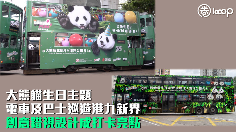 【萌爆全城】大熊貓生日主題電車及巴士今起巡遊港島 錯視設計創意亮相勢成打卡亮點