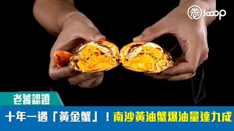 【短片】【老饕認證】十年一遇「黃金蟹」！南沙黃油蟹爆油量達九成